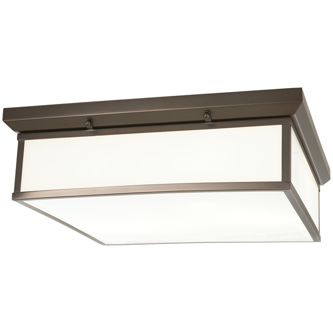 Traditional Ceiling Light by Minka Lavery