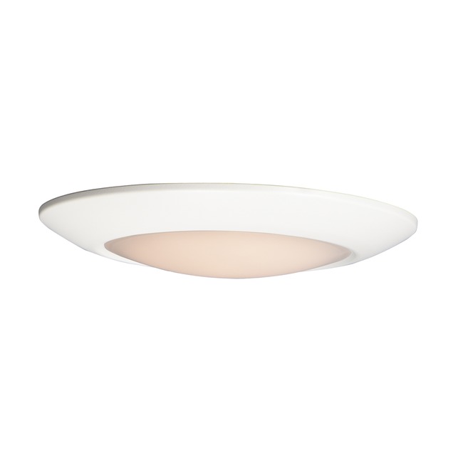 Diverse T24 Wet Location Ceiling Light by Maxim Lighting