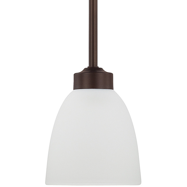 Jameson Pendant by Capital Lighting