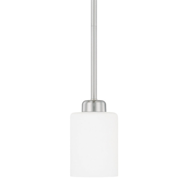 Dixon Pendant by Capital Lighting