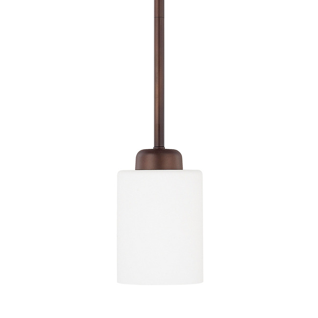 Dixon Pendant by Capital Lighting
