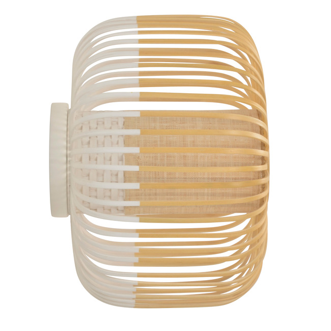 Bamboo Wall/Ceiling Light by Forestier
