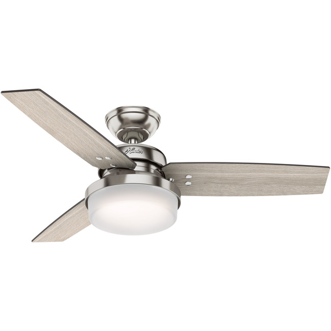 Sentinel 44 Inch Ceiling Fan by Hunter Fan
