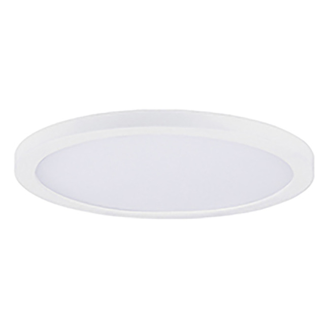 Chip Outdoor Round Flush Ceiling Light by Maxim Lighting