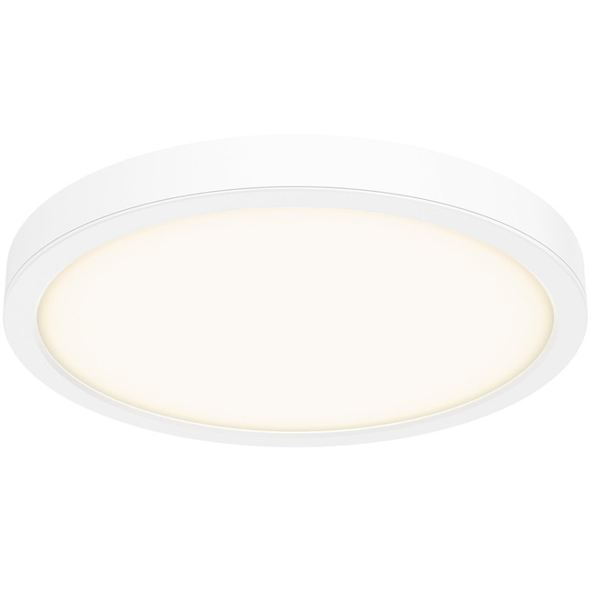 Delta Color Select Round Outdoor Wall / Ceiling Light by DALS Lighting