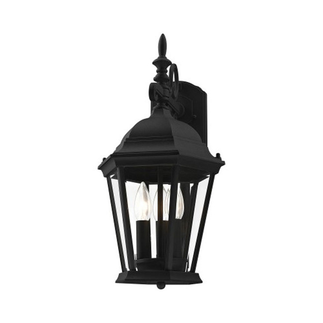Hamilton Outdoor Drop Wall Sconce by Livex Lighting