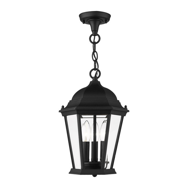 Hamilton Outdoor Pendant by Livex Lighting