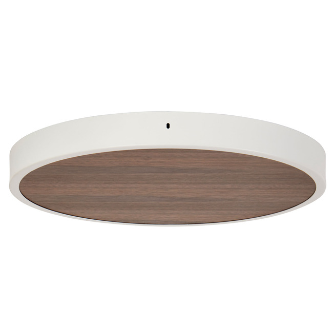 Large Multi-Light Canopy - Overstock by Tala