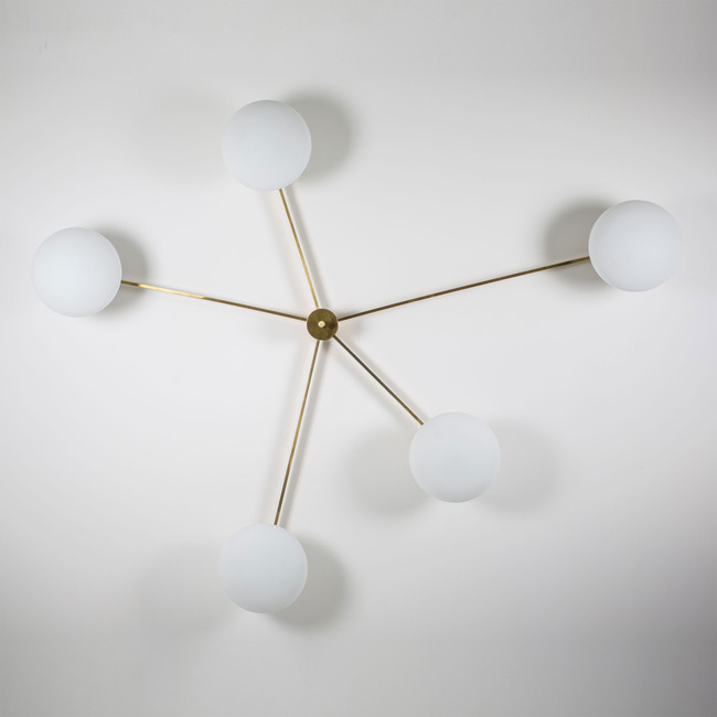 Stella Starfish Ceiling Light by dfm - Design for Macha