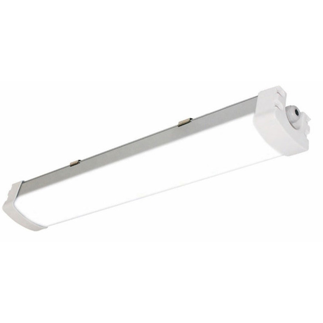 Triproof Wall / Ceiling Light by National Specialty Lighting