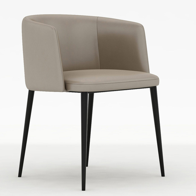 Ballet Dining Chair with Arms by Camerich