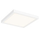 Delta Color Select Square Outdoor Ceiling Light