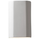 Ambiance Flat Closed Top Outdoor Wall Sconce