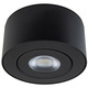 I Spy Color Select Outdoor Gimbal Ceiling Light