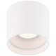 Squat Color Select Outdoor Ceiling Light