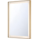 Lenora Color Select LED Mirror