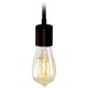 Retro Tube Edison Filament 60 Watt Light Bulb
