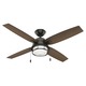 Ocala Outdoor Ceiling Fan with Light