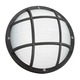 Bayside Round Caged Wall/Ceiling Light