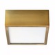 Pyxis Ceiling / Wall Light Fixture