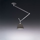 Tolomeo Off Center Suspension with Black Shade
