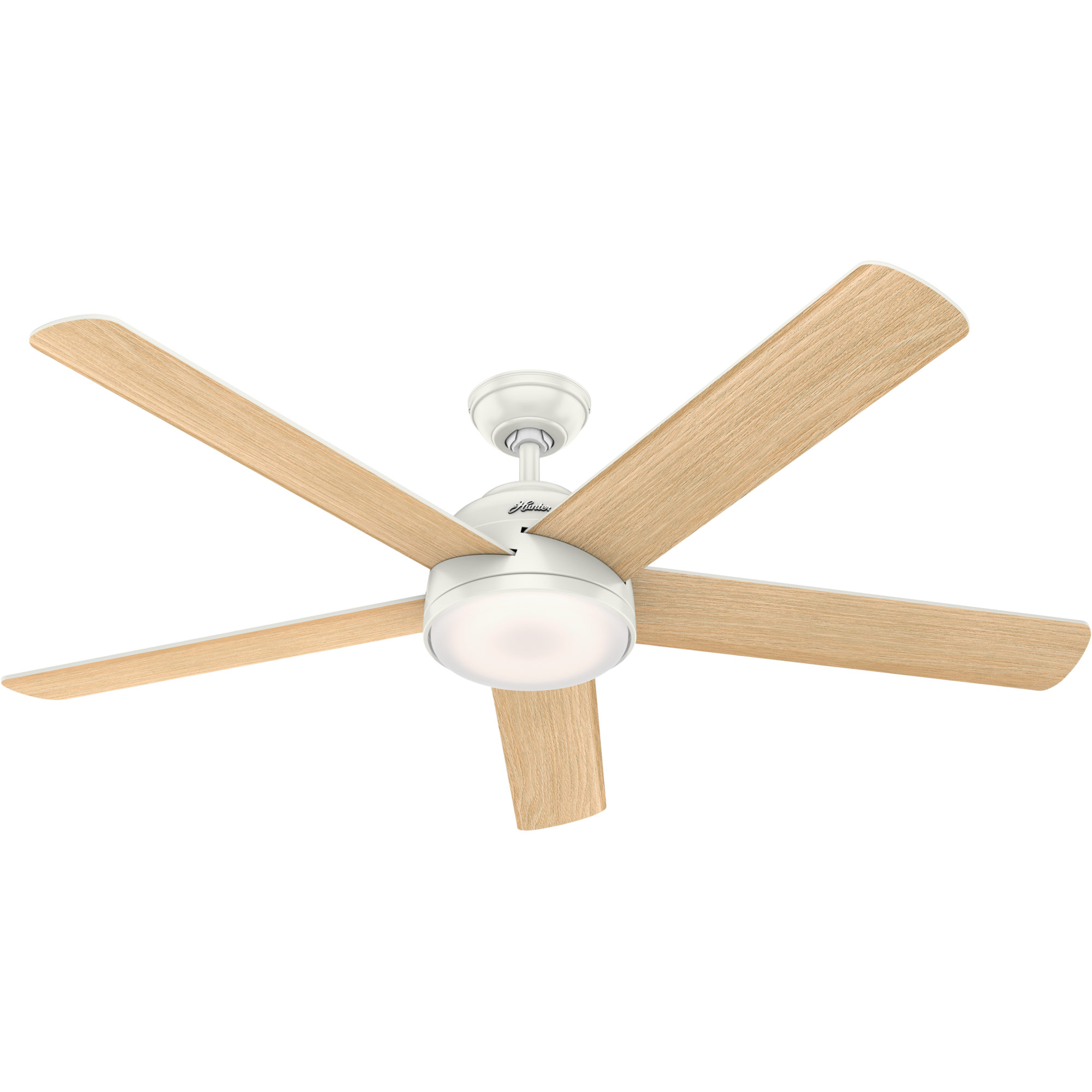 Hunter Ceiling Fans With Dc Motors Shelly Lighting