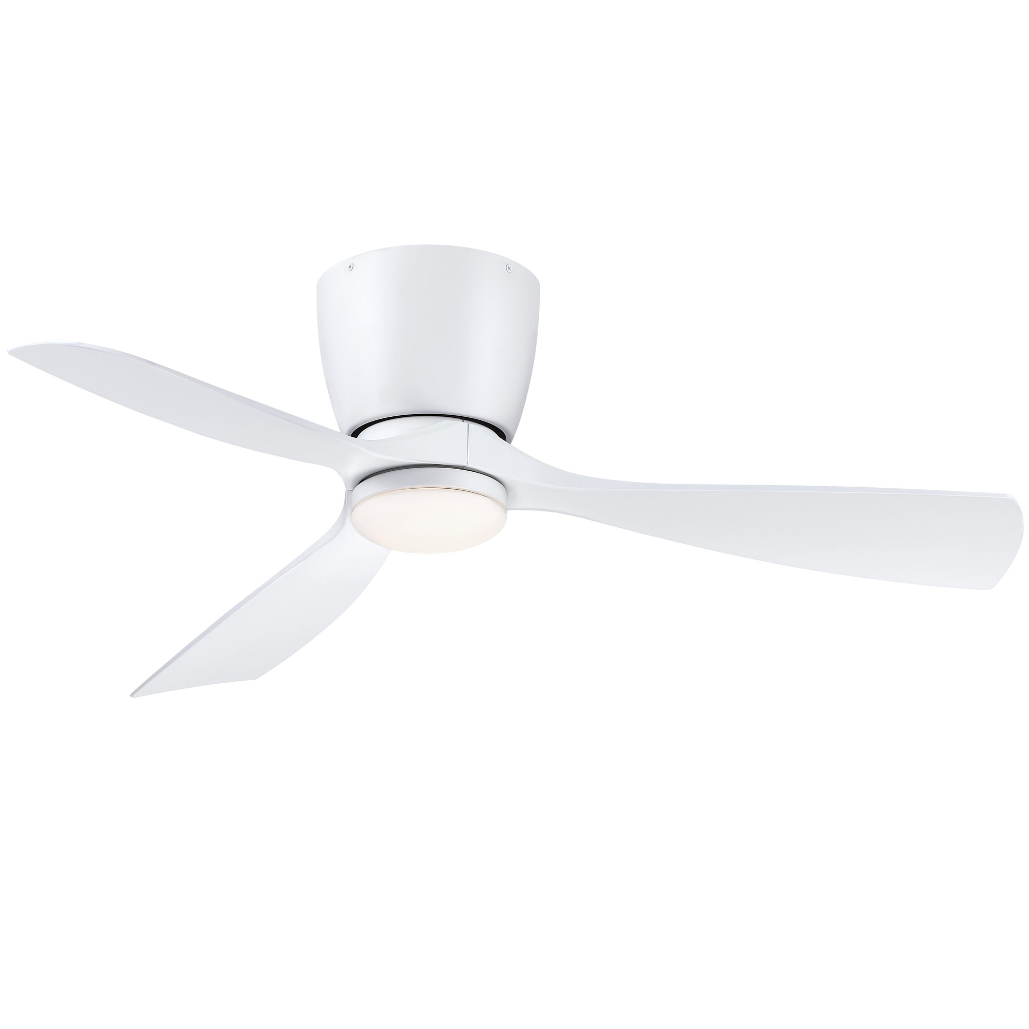 Fanimation Torto Ceiling Fan Reviews Shelly Lighting