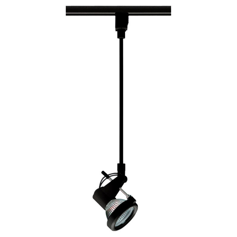 TLP116 Trac 12 MR16 Delta 200 Pendant Track Fixture 12V by Juno ...