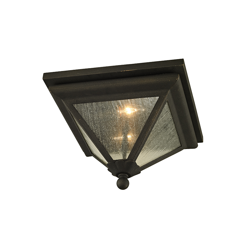 Geneva Outdoor Ceiling Light Fixture By Troy Lighting C6470