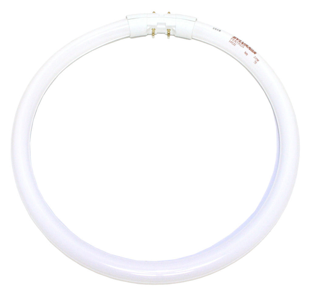 T5 Circline 2GX13 Base 22W 120V 3500K by Raise Lighting | 20712