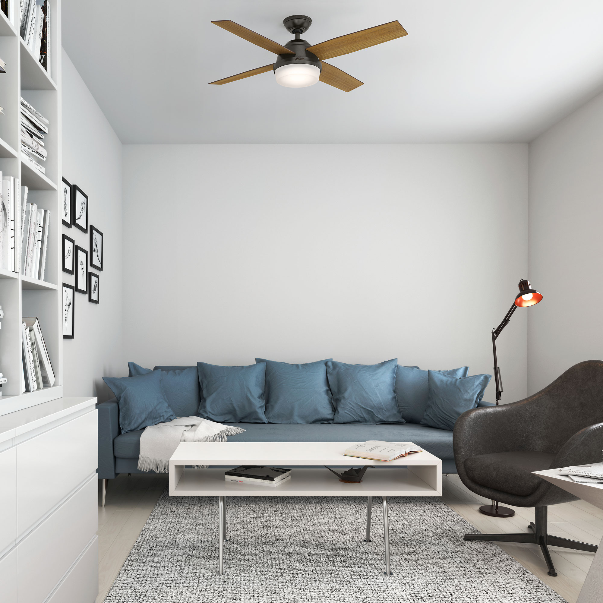 Installation Gallery Living Room Lighting Dempsey Ceiling Fan With Light By Hunter