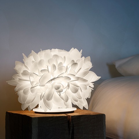 s lamp