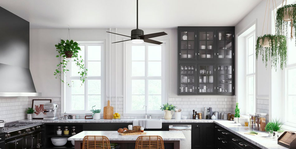 Modern Black Ceiling Fans