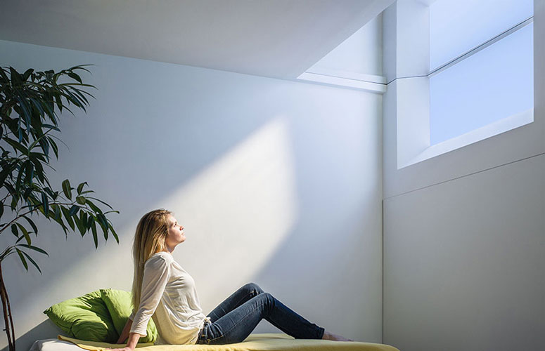 CoeLux Artificial Skylights