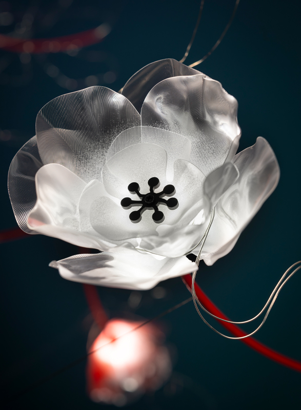 Poppy Suspension